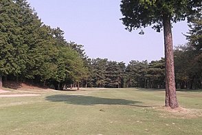 鎌ヶ谷カントリークラブ（中・東） HOLE1-2