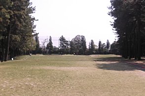 鎌ヶ谷カントリークラブ（中・東） HOLE3-2