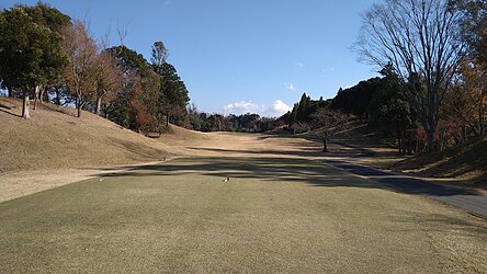 スカイウェイカントリークラブ NO18 ホール-2