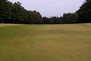 総武カントリークラブ　印旛コース HOLE8-2