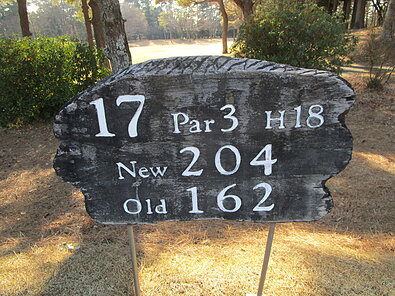 袖ヶ浦カンツリークラブ(共通) NO17 ホール-1