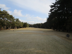 袖ヶ浦カンツリークラブ(共通) 2 /