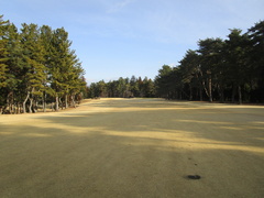袖ヶ浦カンツリークラブ(共通) 3 /