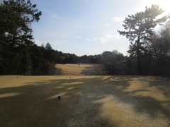 袖ヶ浦カンツリークラブ(共通) 8 /