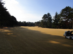 袖ヶ浦カンツリークラブ(共通) 9 /