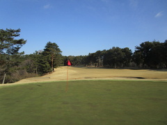 袖ヶ浦カンツリークラブ(共通) 11 /