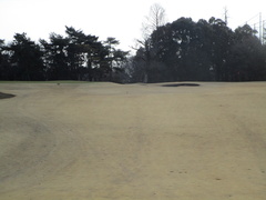 袖ヶ浦カンツリークラブ(共通) 17 /