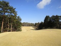 袖ヶ浦カンツリークラブ(共通) 20 /