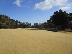 袖ヶ浦カンツリークラブ(共通) 21 /