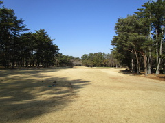 袖ヶ浦カンツリークラブ(共通) 26 /