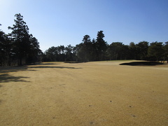 袖ヶ浦カンツリークラブ(共通) 33 /