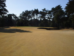 袖ヶ浦カンツリークラブ(共通) 34 /