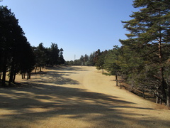 袖ヶ浦カンツリークラブ(共通) 50 /