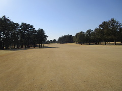 袖ヶ浦カンツリークラブ(共通) 51 /