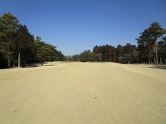 袖ヶ浦カンツリークラブ(共通） 3 /