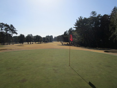 袖ヶ浦カンツリークラブ(共通） 4 /