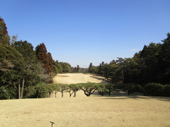 袖ヶ浦カンツリークラブ(共通） 8 /