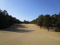 袖ヶ浦カンツリークラブ(共通） 39 /