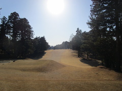 袖ヶ浦カンツリークラブ(共通） 50 /