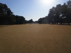 袖ヶ浦カンツリークラブ(共通） 51 /