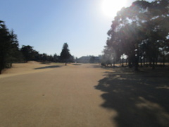 袖ヶ浦カンツリークラブ(共通） 52 /