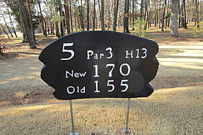 袖ヶ浦カンツリークラブ(共通) NO5 ホール-1