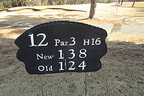 袖ヶ浦カンツリークラブ(共通) NO12 ホール-1