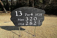 袖ヶ浦カンツリークラブ(共通) NO13 ホール-1