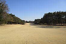 袖ヶ浦カンツリークラブ(共通) NO14 ホール-2