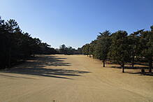 袖ヶ浦カンツリークラブ(共通) NO16 ホール-3