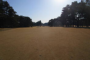 袖ヶ浦カンツリークラブ(共通) NO18 ホール-3