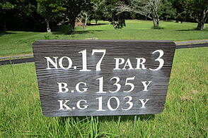 長南カントリークラブ NO17 ホール-1
