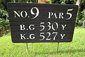長南カントリークラブ NO9 ホール-1