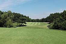 中山カントリークラブ HOLE6-1