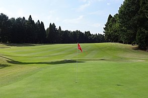 東千葉カントリークラブ Vol2 HOLE11-3