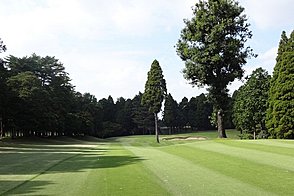 東千葉カントリークラブ Vol2 HOLE17-3