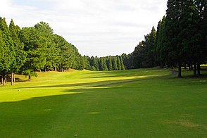 東千葉カントリークラブ HOLE14-1