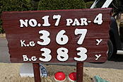 藤ケ谷カントリークラブ NO17ホール-1