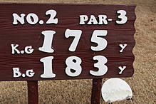 藤ケ谷カントリークラブ NO2ホール-1