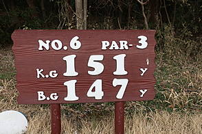 藤ケ谷カントリークラブ NO6ホール-1