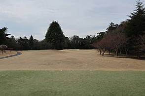 藤ケ谷カントリークラブ NO6ホール-2