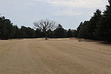 藤ケ谷カントリークラブ NO8ホール-3