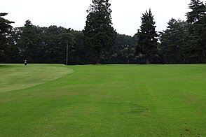 紫あやめ36西コース HOLE11-2