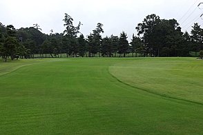 紫あやめ36西コース HOLE12-2