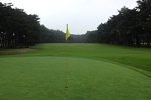 紫あやめ36西コース HOLE6-3