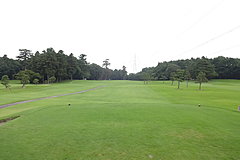 紫カントリークラブあやめコース 44 /