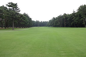 紫あやめ36 NO5ホール-3