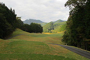 トミーヒルズゴルフクラブ鹿沼コース NO10ホール-2