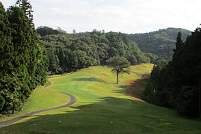 トミーヒルズゴルフクラブ鹿沼コース NO14ホール-2