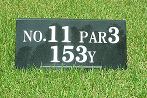 千葉バーディクラブ HOLE11-1